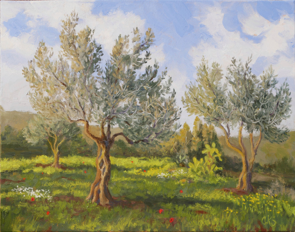 NEW! Olive Grove at Moshav Iliana - 11" x 14" High Resolution Print by Connie Shishkoff - Mounted (Copy)