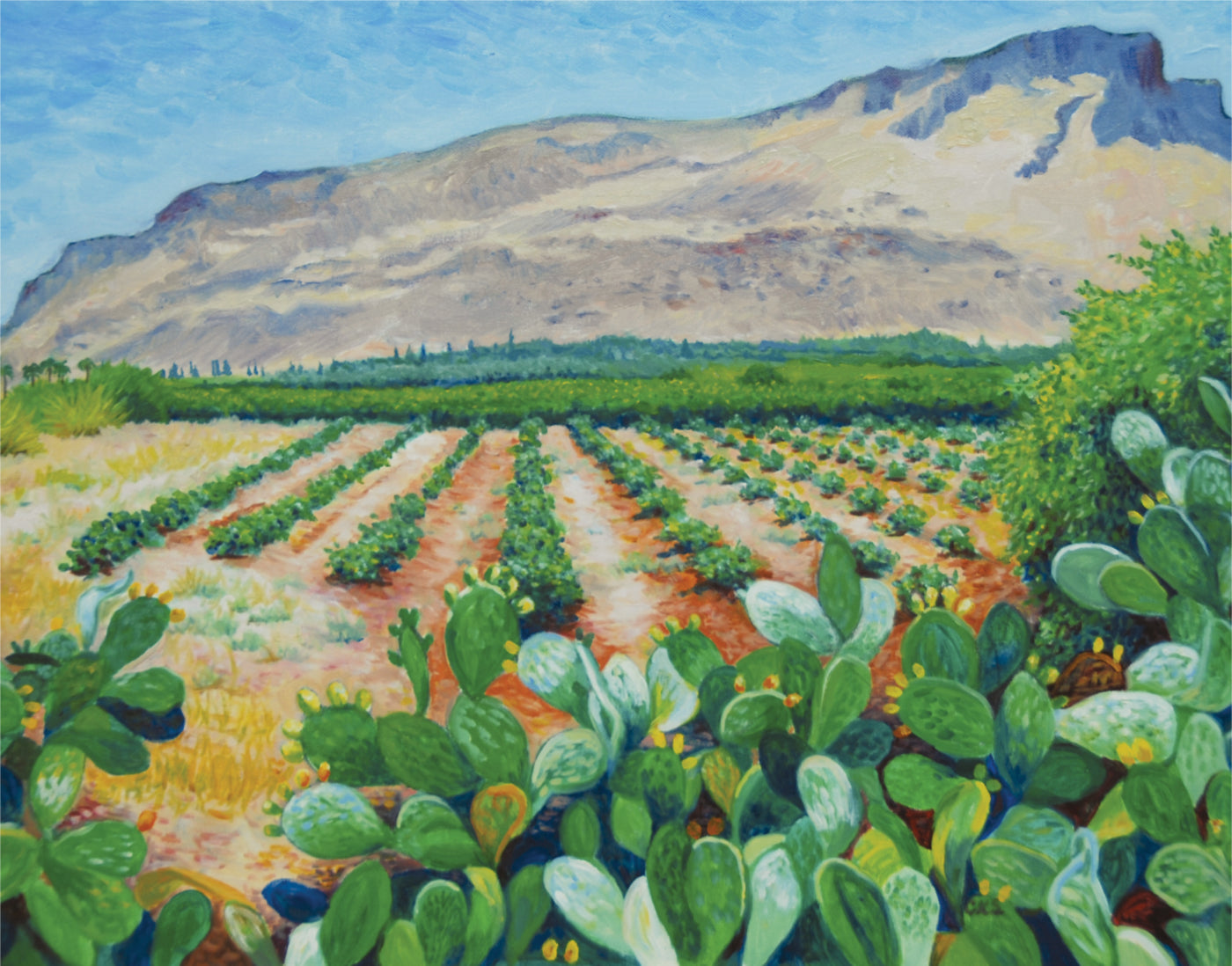 Mount Arbel - High Resolution Print by Connie Shishkoff, Mounted