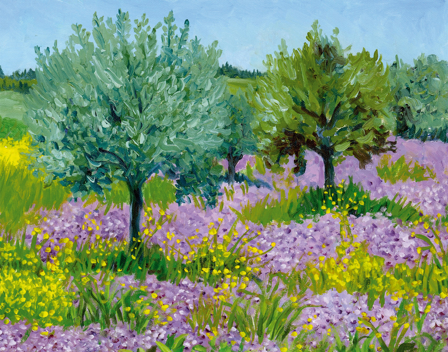 Olive Trees - High Resolution Print by Connie Shishkoff - 11"x14" - Mounted
