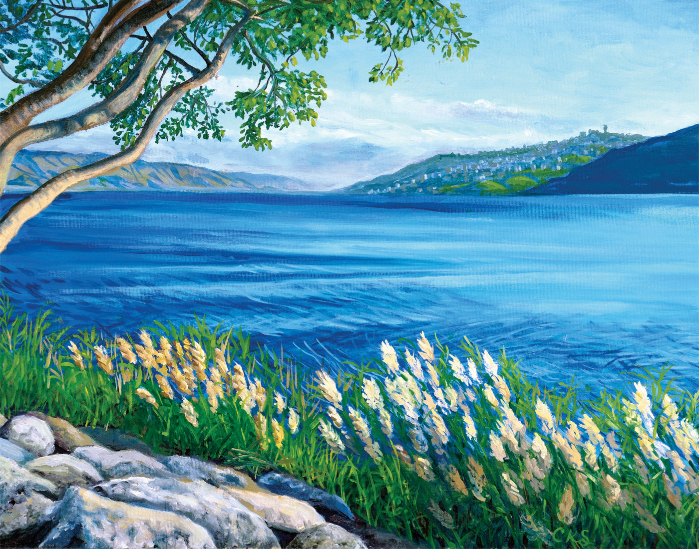 Sea of Galilee- High Resolution Print by Connie Shishkoff, Mounted