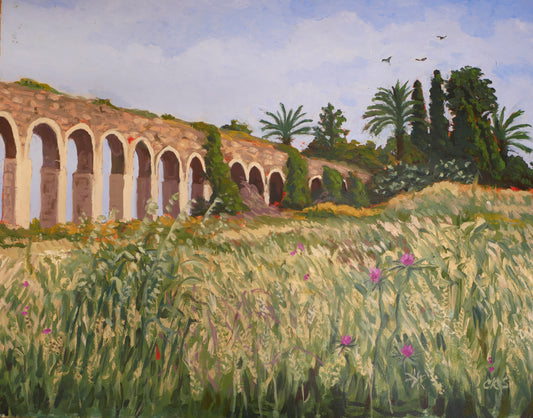 Aqueduct Near Nahariya - High Resolution Print by Connie Shishkoff - Mounted