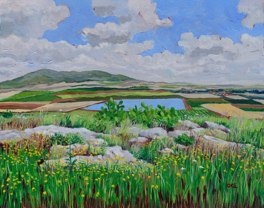 Hill of Moreh - High-Resolution Print b Connie Shishkoff - 11" x 14" - Mounted