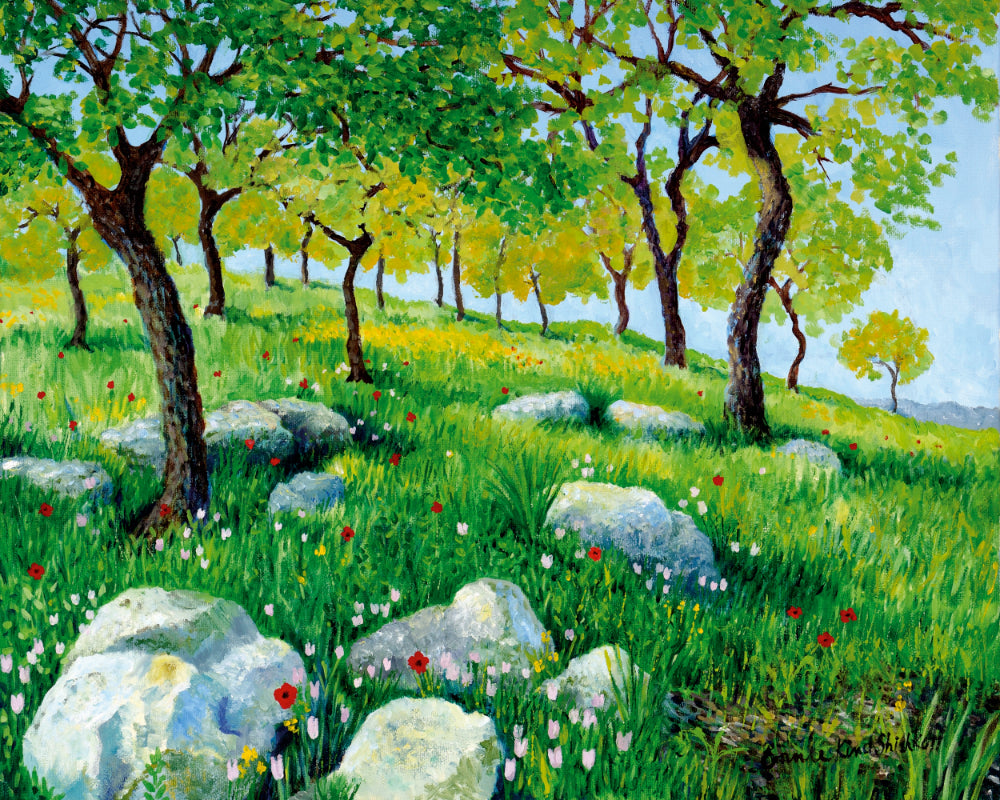 Smaller Format! Springtime in Galilee - 8" x 10" High Resolution Print by Connie Shishkoff - Mounted