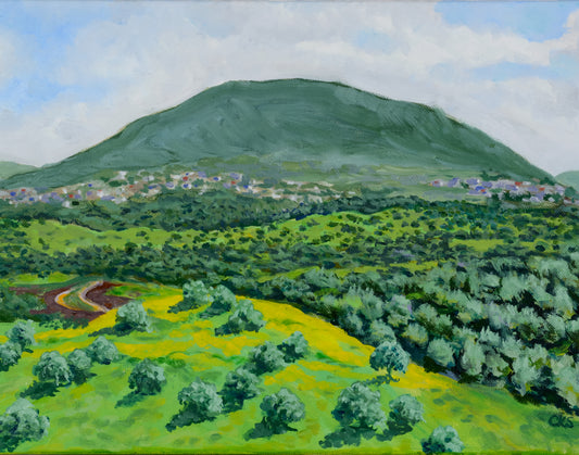 Mount Tabor - High Resolution Print by Connie Shishkoff, Mounted