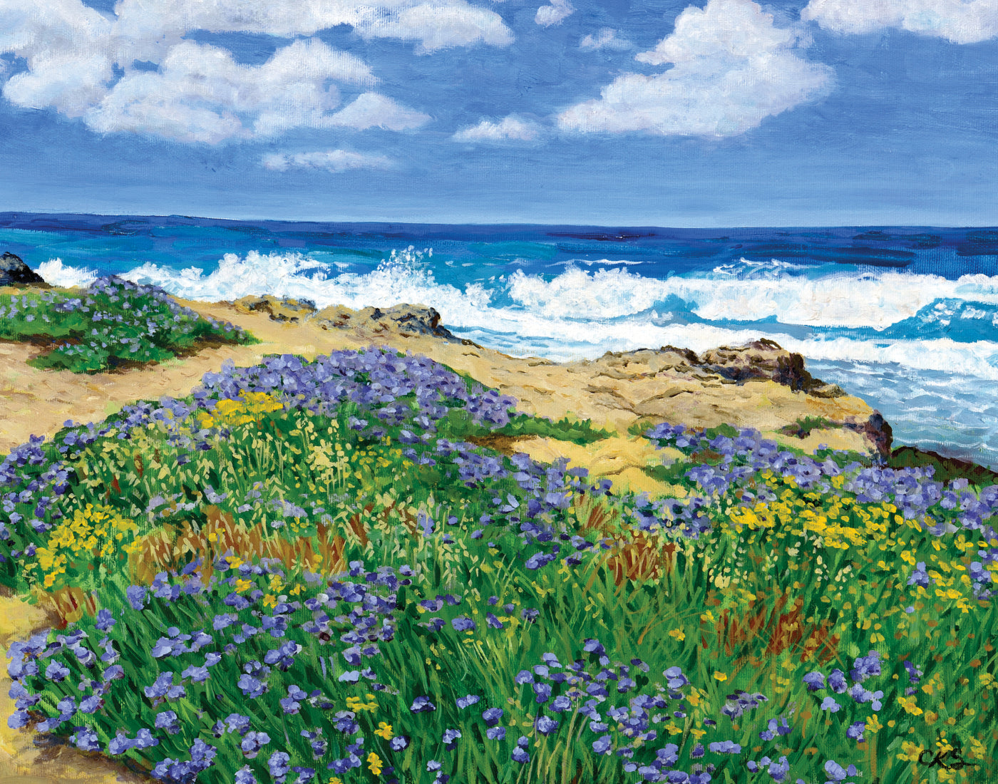 Nahariya Coast- High Resolution Print by Connie Shishkoff, Mounted